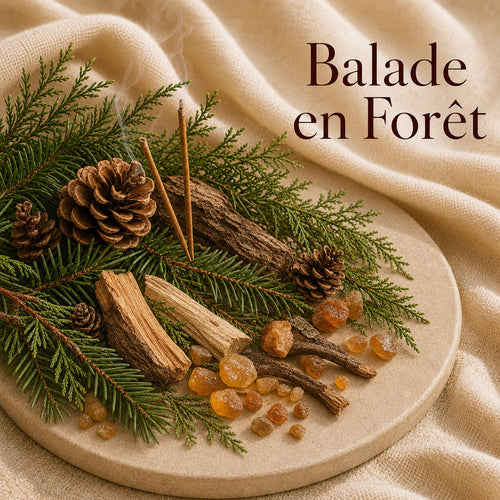 Fondant parfumé Balade en Forêt alvea, présenté dans une ambiance naturelle et apaisante.