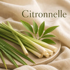 Fondant parfumé Citronnelle alvea, présenté dans une ambiance naturelle et apaisante.