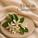 Fondant parfumé Fleur de Citronnier alvea, présenté dans une ambiance florale.