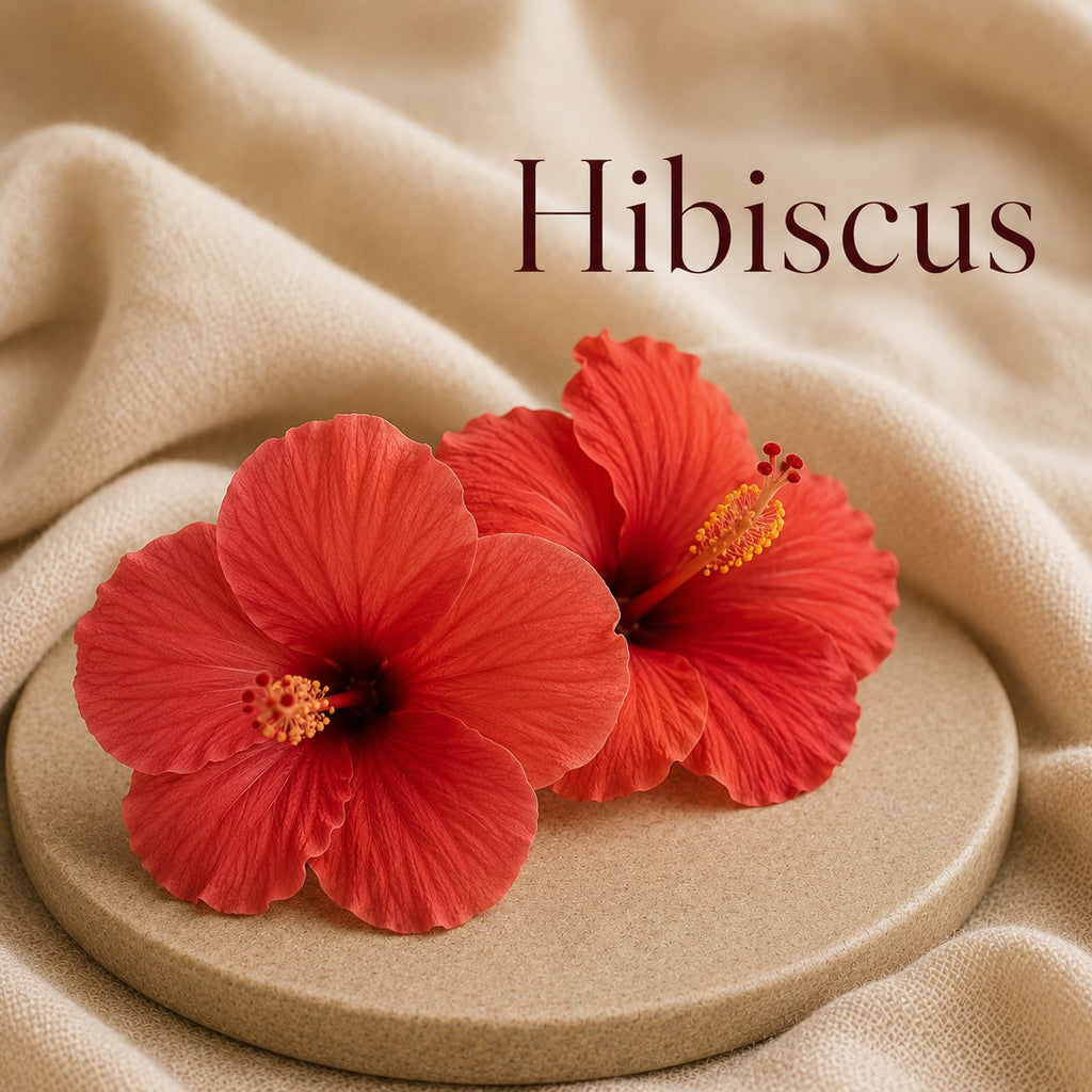 Fondant parfumé Hibiscus alvea, présenté dans une ambiance florale.