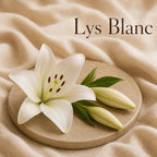 Fondant parfumé Lys Blanc alvea, présenté dans une ambiance florale.