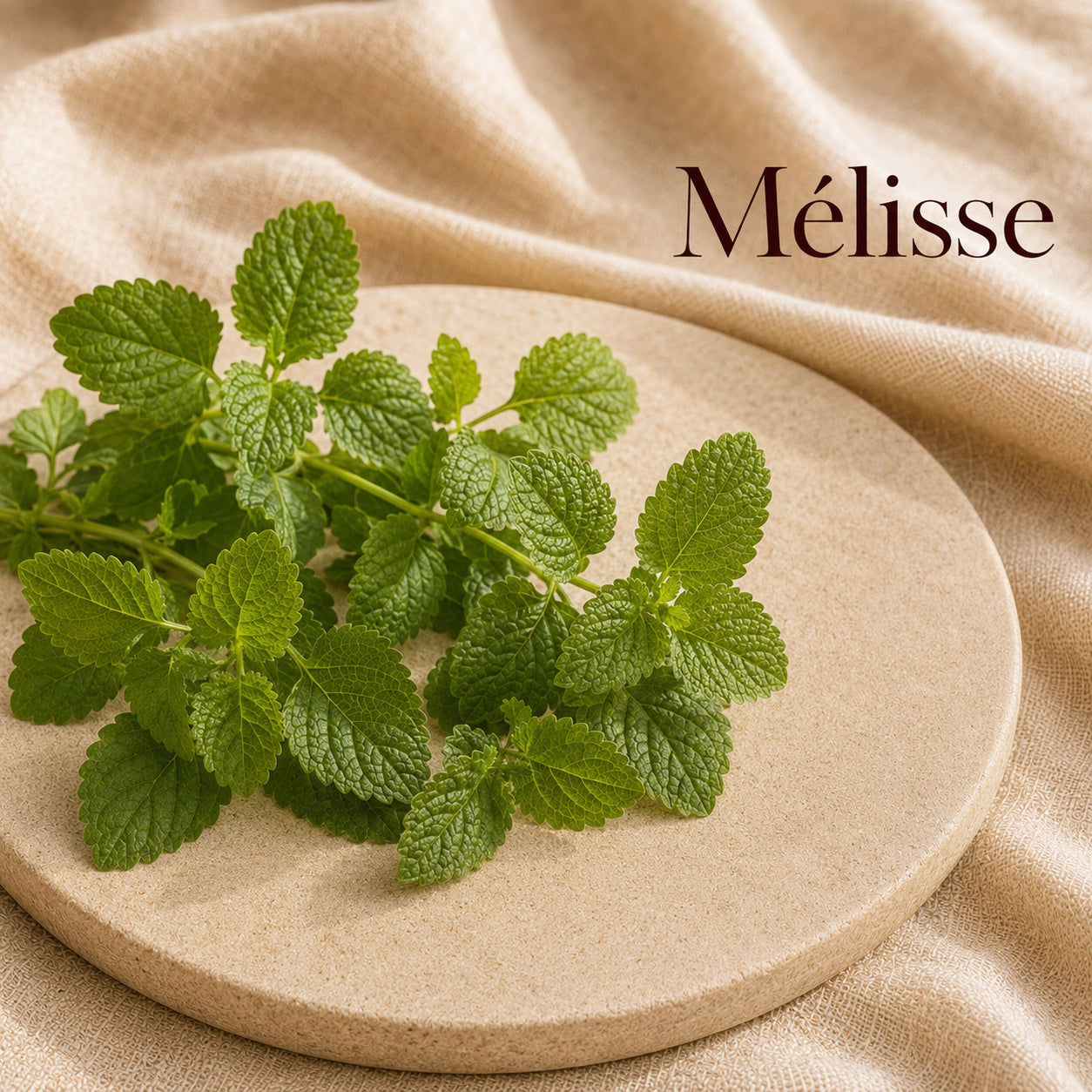 Fondant parfumé Mélisse alvea, présenté dans une ambiance naturelle et apaisante.