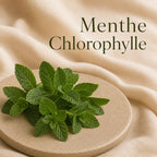 Fondant parfumé Menthe Chlorophylle alvea, présenté dans une ambiance naturelle et apaisante.