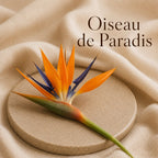 Fondant parfumé Oiseau de Paradis alvea, présenté dans une ambiance florale.