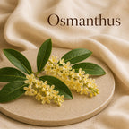 Fondant parfumé Osmanthus alvea, présenté dans une ambiance florale.