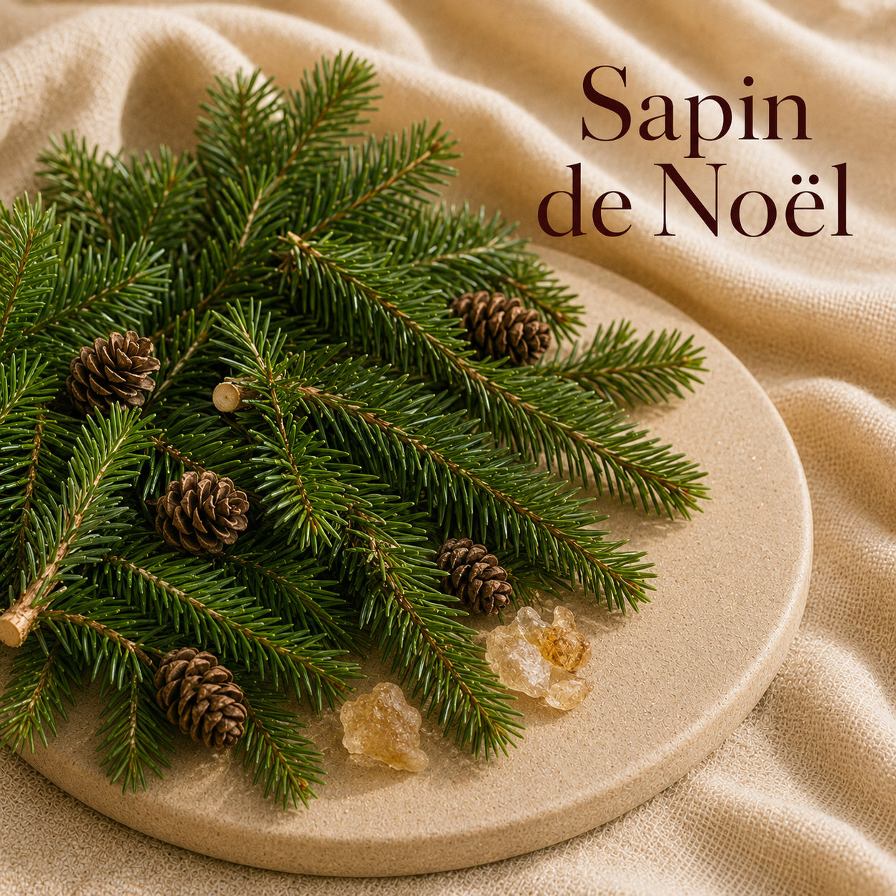 Fondant parfumé Sapin de Noël alvea, présenté avec des branches de sapin et des pommes de pin dans une ambiance naturelle et hivernale.