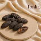 Fondant parfumé Tonka alvea, présenté dans une ambiance gourmande.
