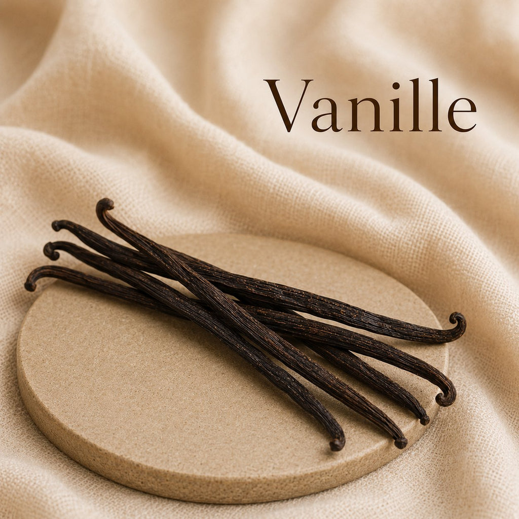 Fondant parfumé Vanille alvea, présenté dans une ambiance gourmande.