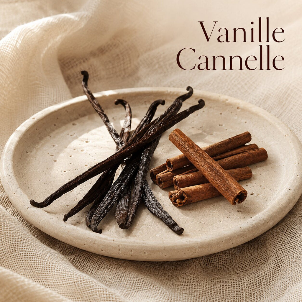 Fondant parfumé Vanille Cannelle alvea, présenté dans une ambiance gourmande.