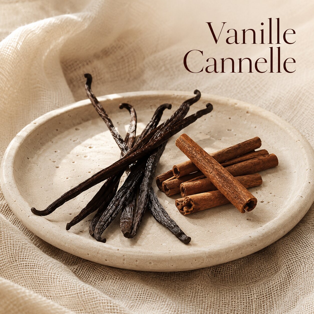 Fondant parfumé Vanille Cannelle alvea, présenté dans une ambiance gourmande.