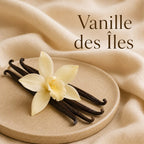 Fondant parfumé Vanille des Îles alvea, présenté dans une ambiance gourmande.